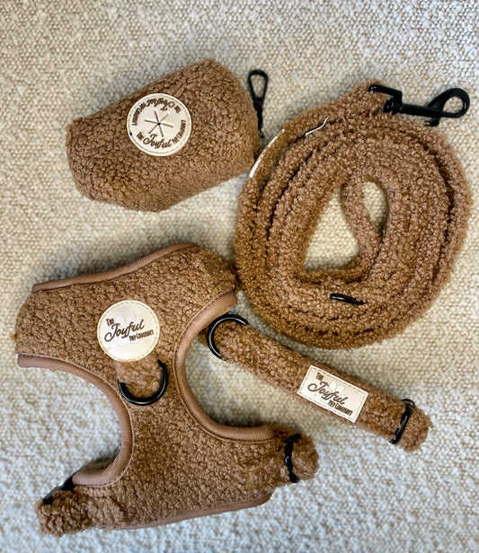 4-piece dog harness set | Teddy