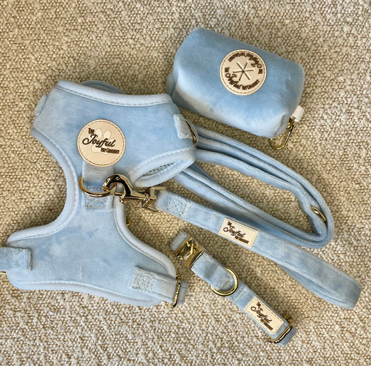 4-piece dog harness set | Blue Velvet